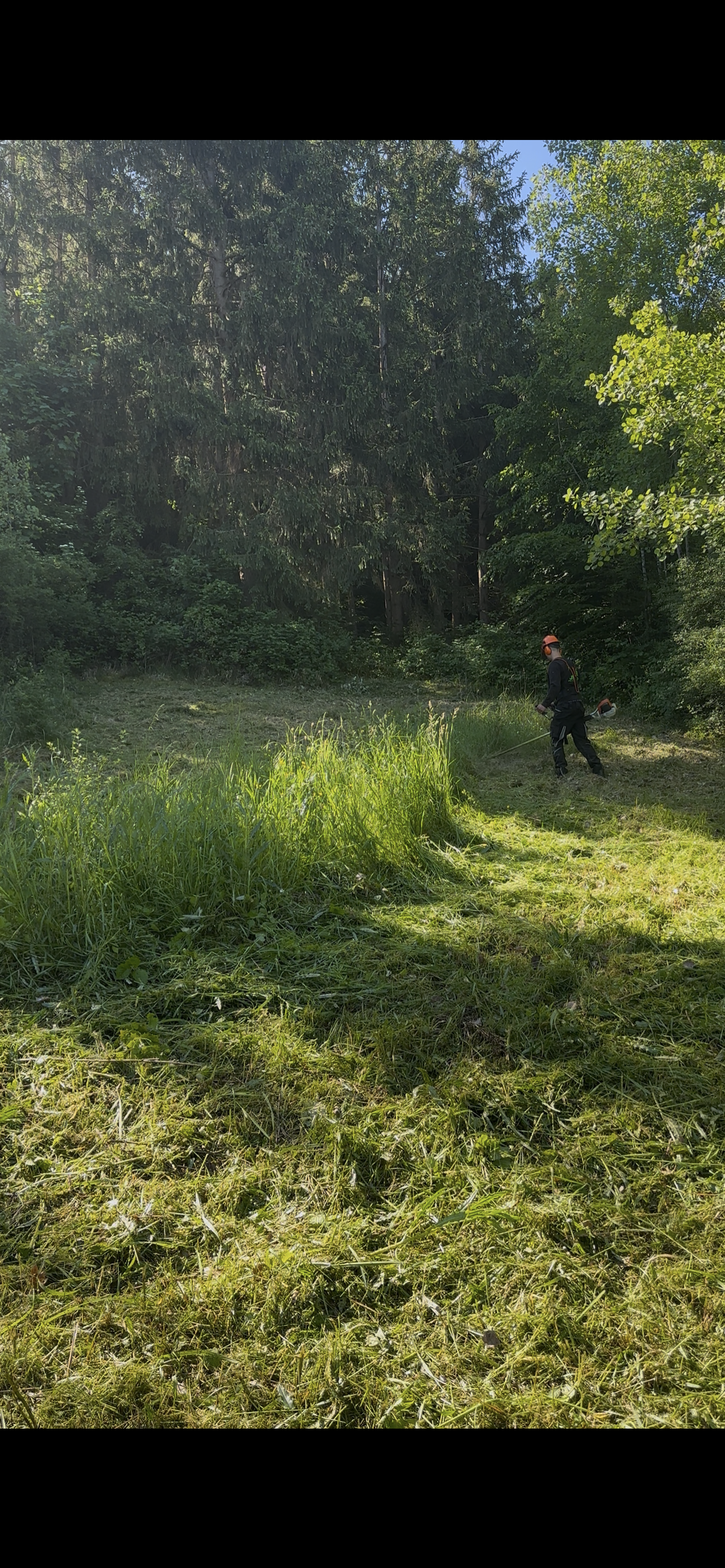 Rasenpflege und Landschaftspflege von Fuhrer Garten- & Landschaftspflege